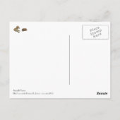 Carte postale Idi du Sahel Postkarte (Rückseite)