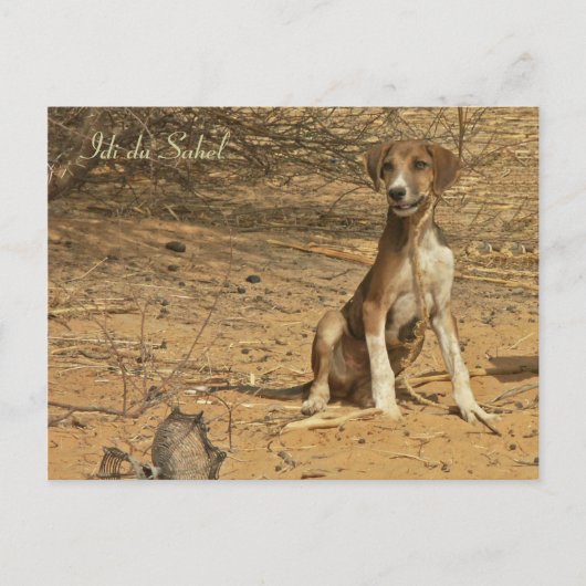 Carte postale Idi du Sahel Postkarte (Vorderseite)