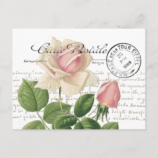 Carte Postale Pink Rose Französische Schrift Vinta Postkarte (Vorderseite)