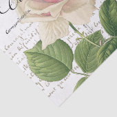 Carte Postale Pink Rose Französische Schrift Vinta Seidenpapier (Ausschnitt)