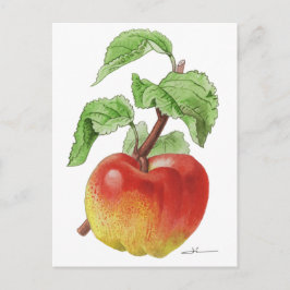 Carte postale " Pomme Jeanne Hardy " Postkarte