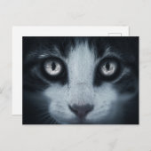 Carte postale regard de Chat Postkarte (Vorne/Hinten)