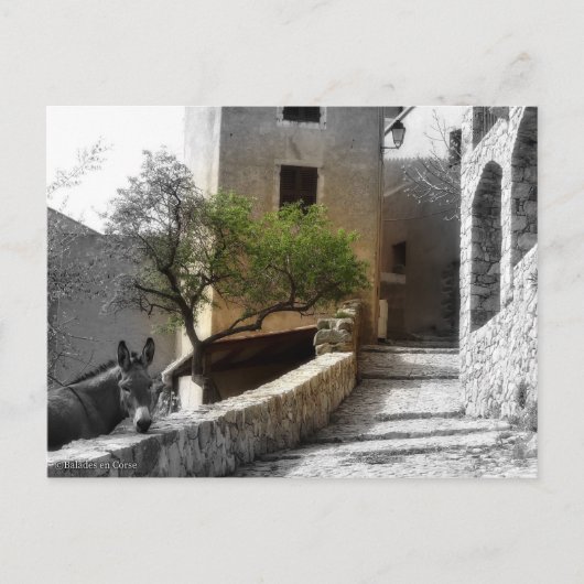 Carte postale SANT'ANTONINO Postkarte (Vorderseite)