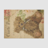 Carte Postale Teddy Bear Seidenpapier (Vorderseite)
