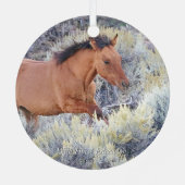 Carter Colt, Wild Horse Ornament (Rückseite)