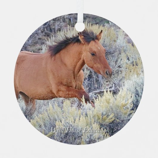 Carter Colt, Wild Horse Ornament Aus Metall (Vorderseite)