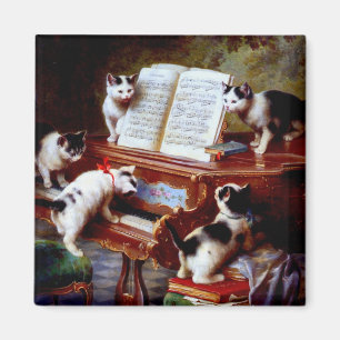 Carter Reichert Kittens spielt Klavier Magnet