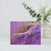 Cartes postale bouquet de lavandes postkarte (Stehend Vorderseite)
