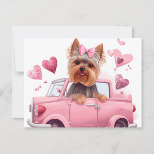 Cartes Postales Dog Yorkshire Postkarte