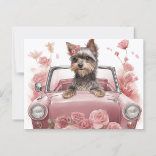 Cartes Postales Dog Yorkshire Postkarte