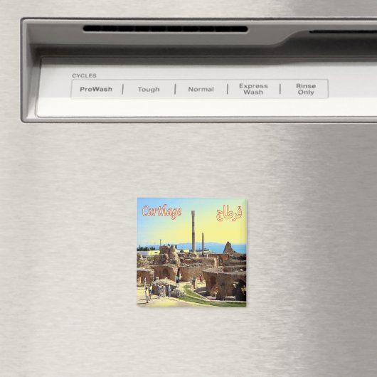 CARTHAGE, Tunesien, Afrika, Kühlschrank Magnet (In Situ (Geschirrspüler))