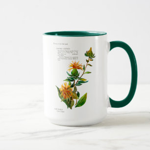 Carthamus Tinctoria Tasse