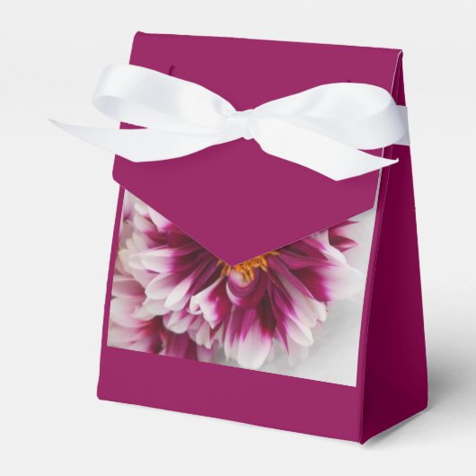 Cartheuserin Geschenkschachtel (Vorderseite)