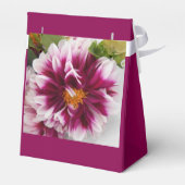 Cartheuserin Geschenkschachtel (Rückseite)