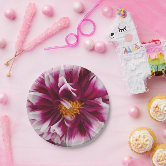 Cartheuserin Pappteller (Party)