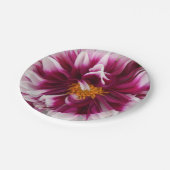 Cartheuserin Pappteller (Schrägansicht)