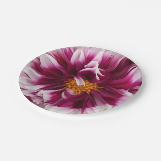 Cartheuserin Pappteller (Schrägansicht)