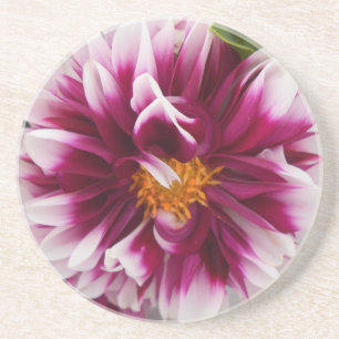 Cartheuserin Sandstein Untersetzer