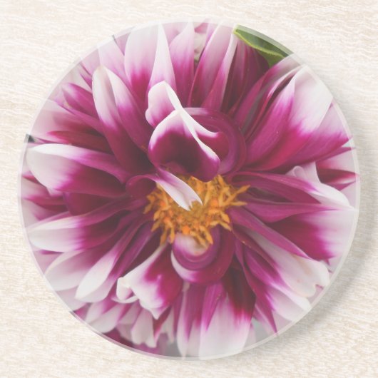 Cartheuserin Sandstein Untersetzer (Vorne)