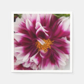 Cartheuserin Serviette (Vorderseite)