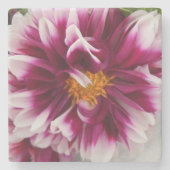 Cartheuserin Steinuntersetzer (Vorderseite)