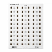 Cartoon-Abbildung (Vorne)