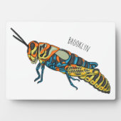 Cartoon-Abbildung Fotoplatte (Vorderseite)