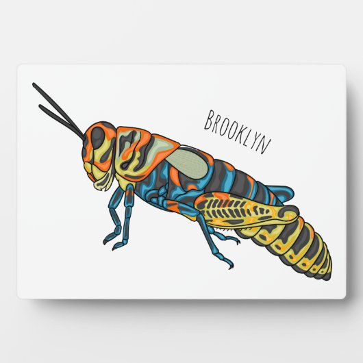 Cartoon-Abbildung Fotoplatte (Vorderseite)