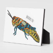 Cartoon-Abbildung Fotoplatte (Seite)