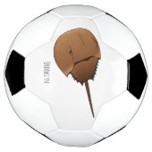 Cartoon-Abbildung Fußball (Gedreht)