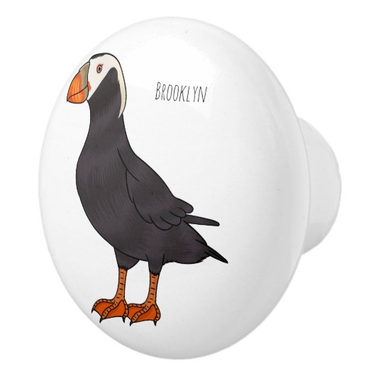 Cartoon-Abbildung Keramikknauf (Rechts)