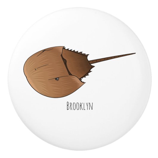 Cartoon-Abbildung Keramikknauf (Vorderseite)