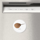 Cartoon-Abbildung Magnet (In Situ (Geschirrspüler))