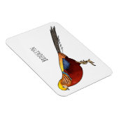 Cartoon-Abbildung Magnet (Rechte Seite)