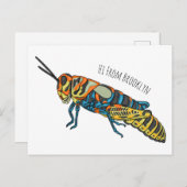 Cartoon-Abbildung Postkarte (Vorne/Hinten)