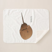 Cartoon-Abbildung Sherpadecke (Vorderseite (Horizontal))