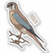 Cartoon Aufkleber (Vorderseite)