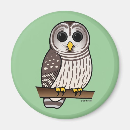 Cartoon Barred Owl Magnet (Vorne)