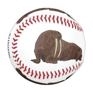 Cartoon Baseball