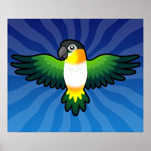 Cartoon Caique / Lovebird / Pionus / Papagei Poster (Vorne)