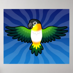 Cartoon Caique / Unzertrennliche / Pionus / Papage Poster