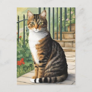Cartoon Cat Postkarte