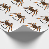 Cartoon der graubraunen und orangen Spinne Geschenkpapier (Ecke)