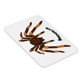 Cartoon der graubraunen und orangen Spinne Magnet (Rechte Seite)