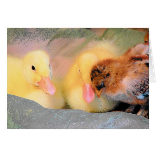 Cartoon ducks and chick (Vorderseite (Horizontal))