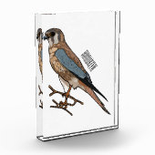 Cartoon Fotoblock (Links)