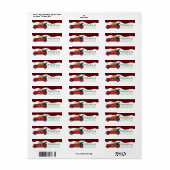 Cartoon Goldendoodles Roter Weihnachtsmann (Vorne)