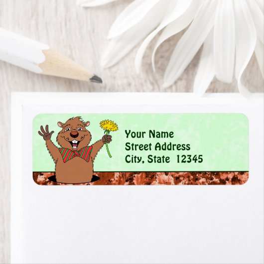 Cartoon Groundhog (Insitu)