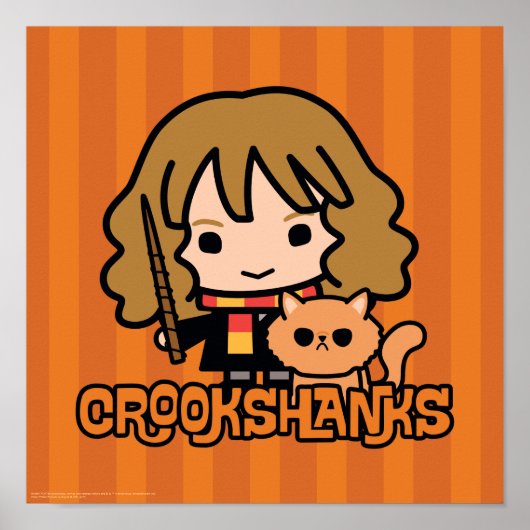 Cartoon Hermione und Crookshanks Poster (Vorne)