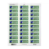 Cartoon Hyacinth Macaw (Vorne)